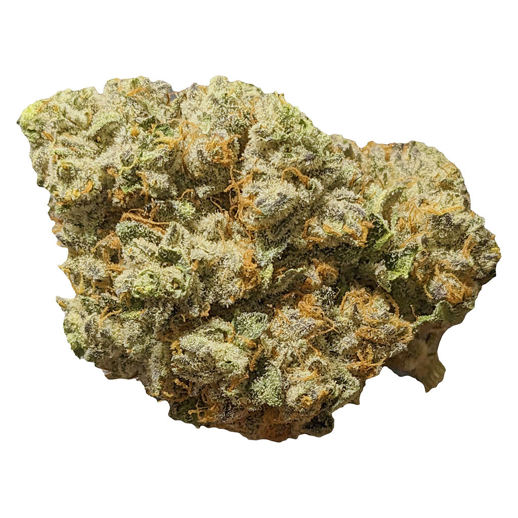 11 Week Pink 3.5g Dried Flower (1.7% Terps)